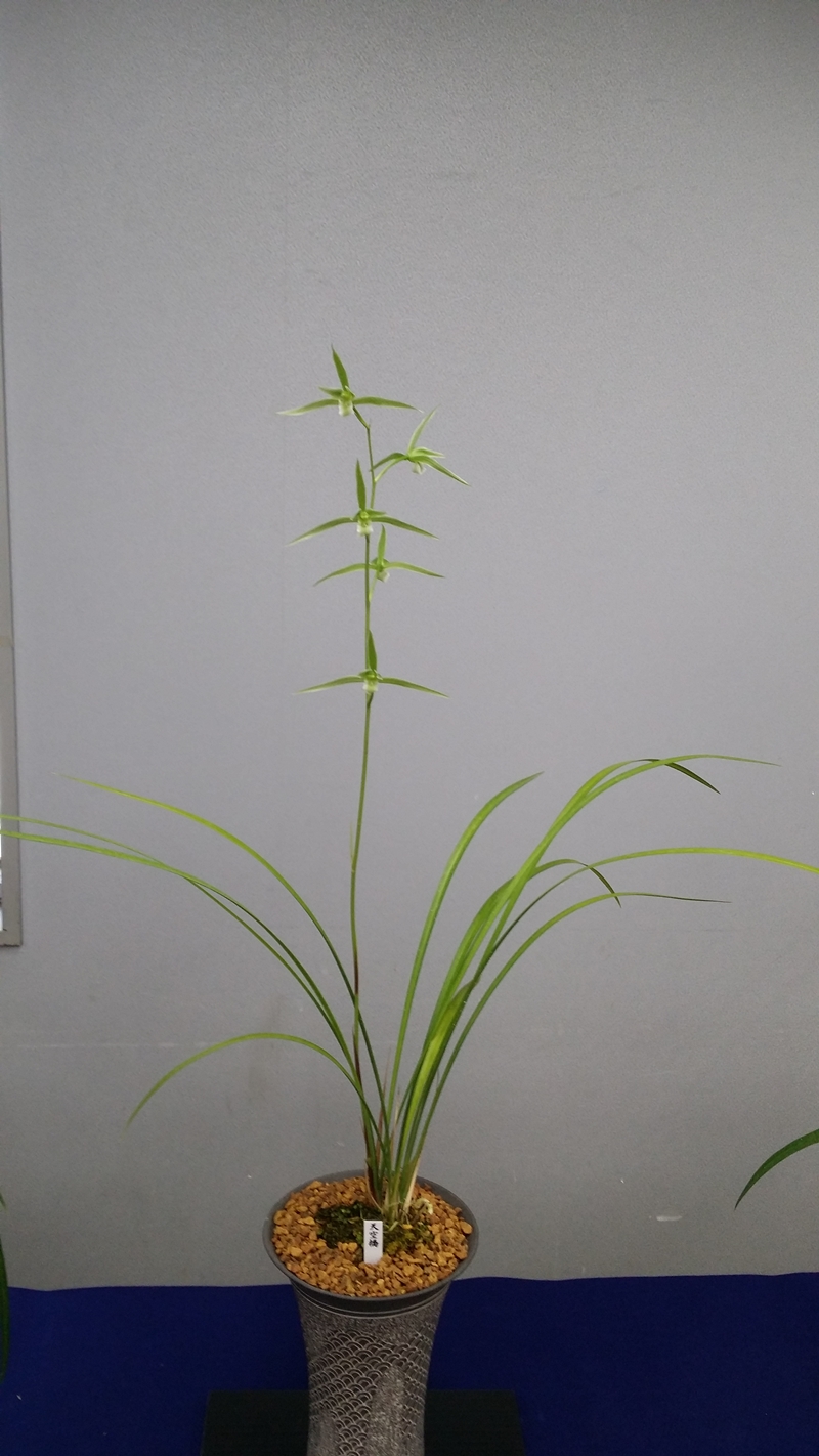 20151211_103748.jpg