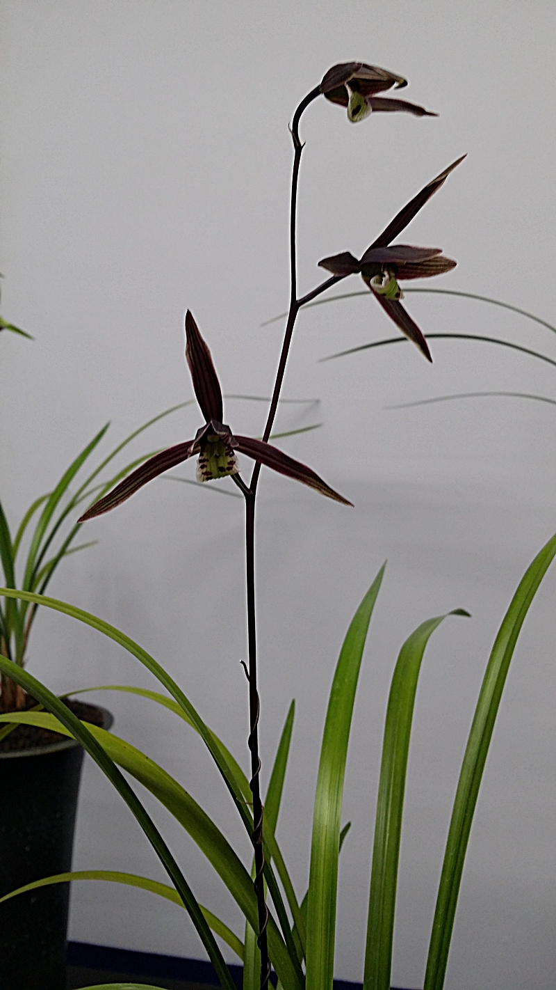 20151211_103638.jpg