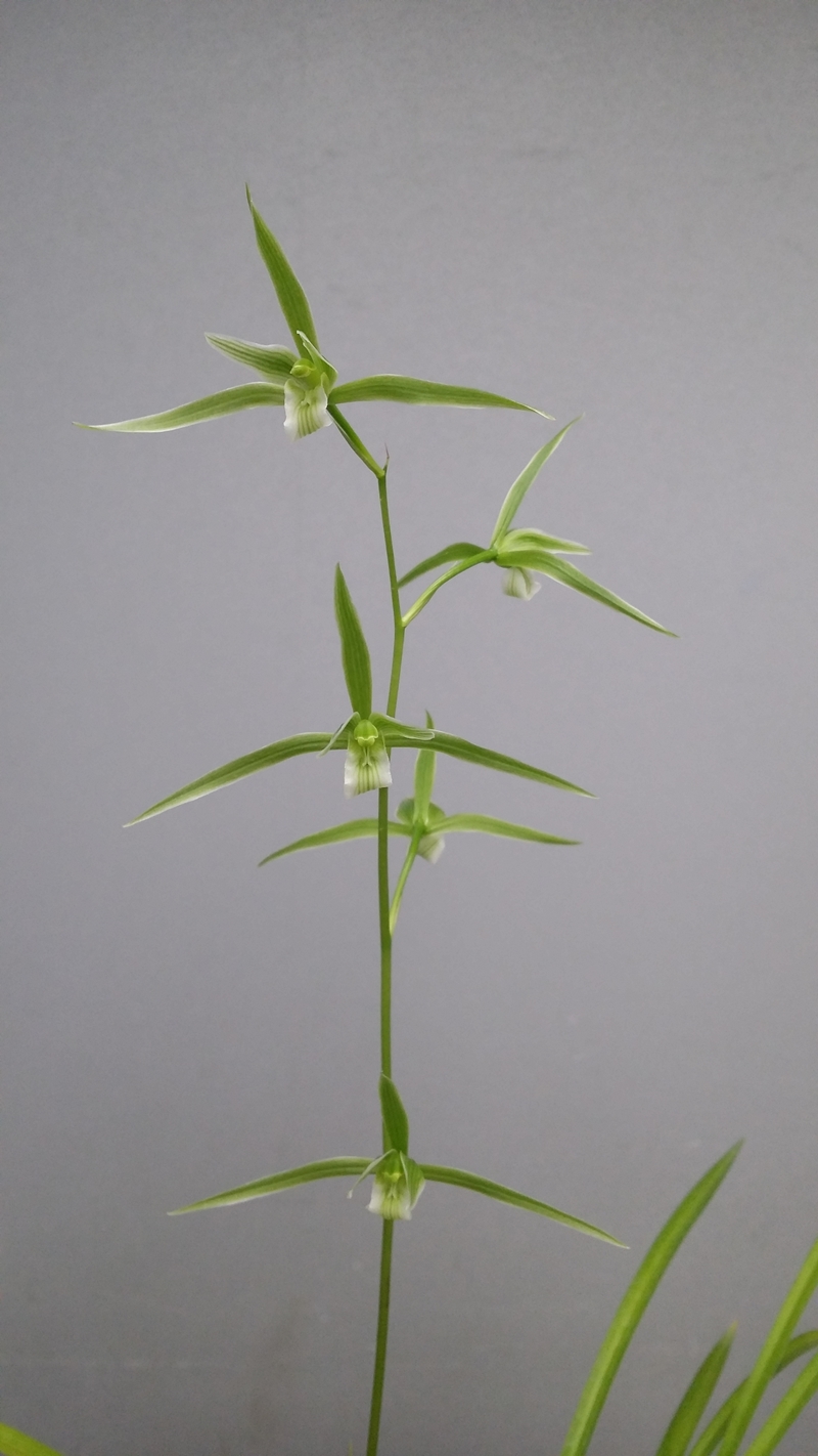 20151211_103731 - 纻.jpg