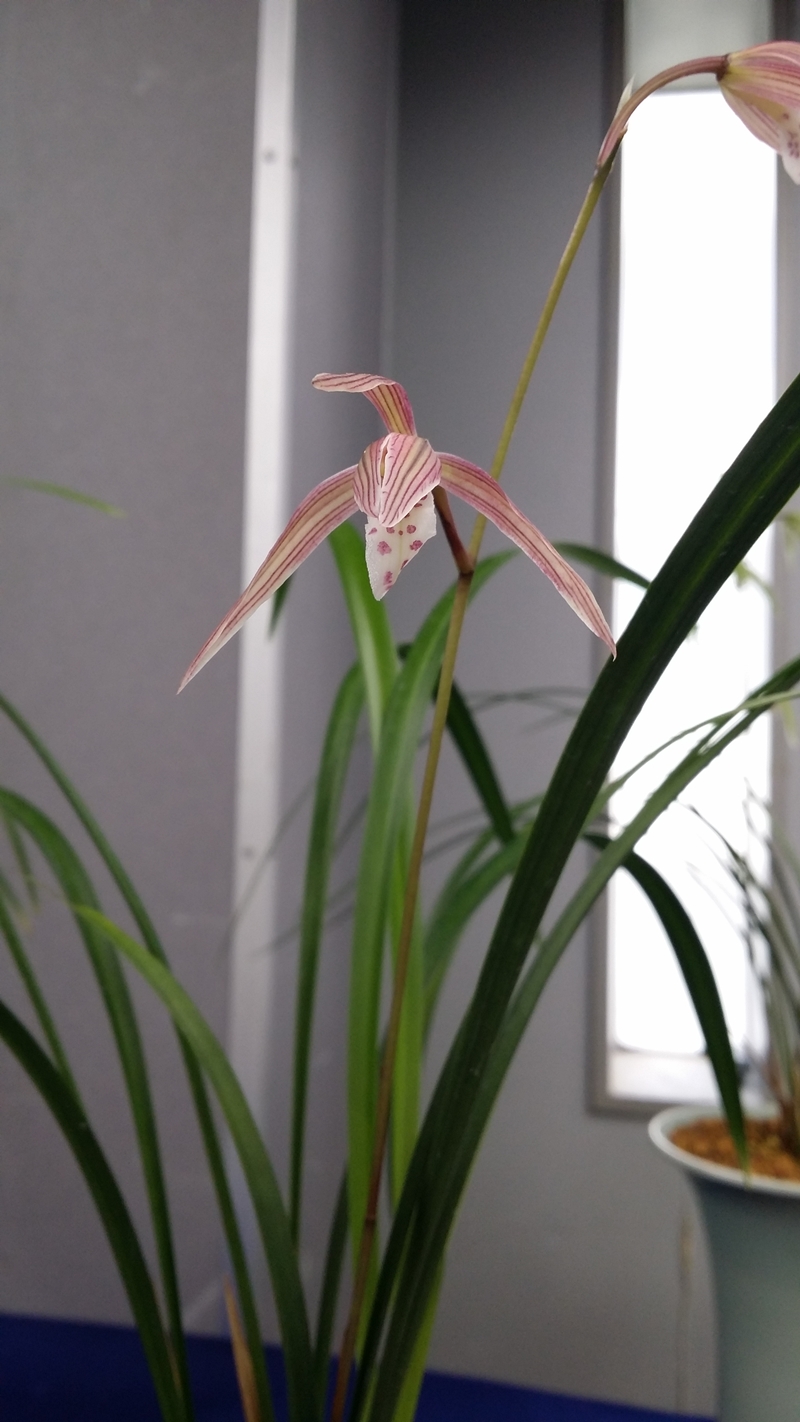 20151211_103758.jpg