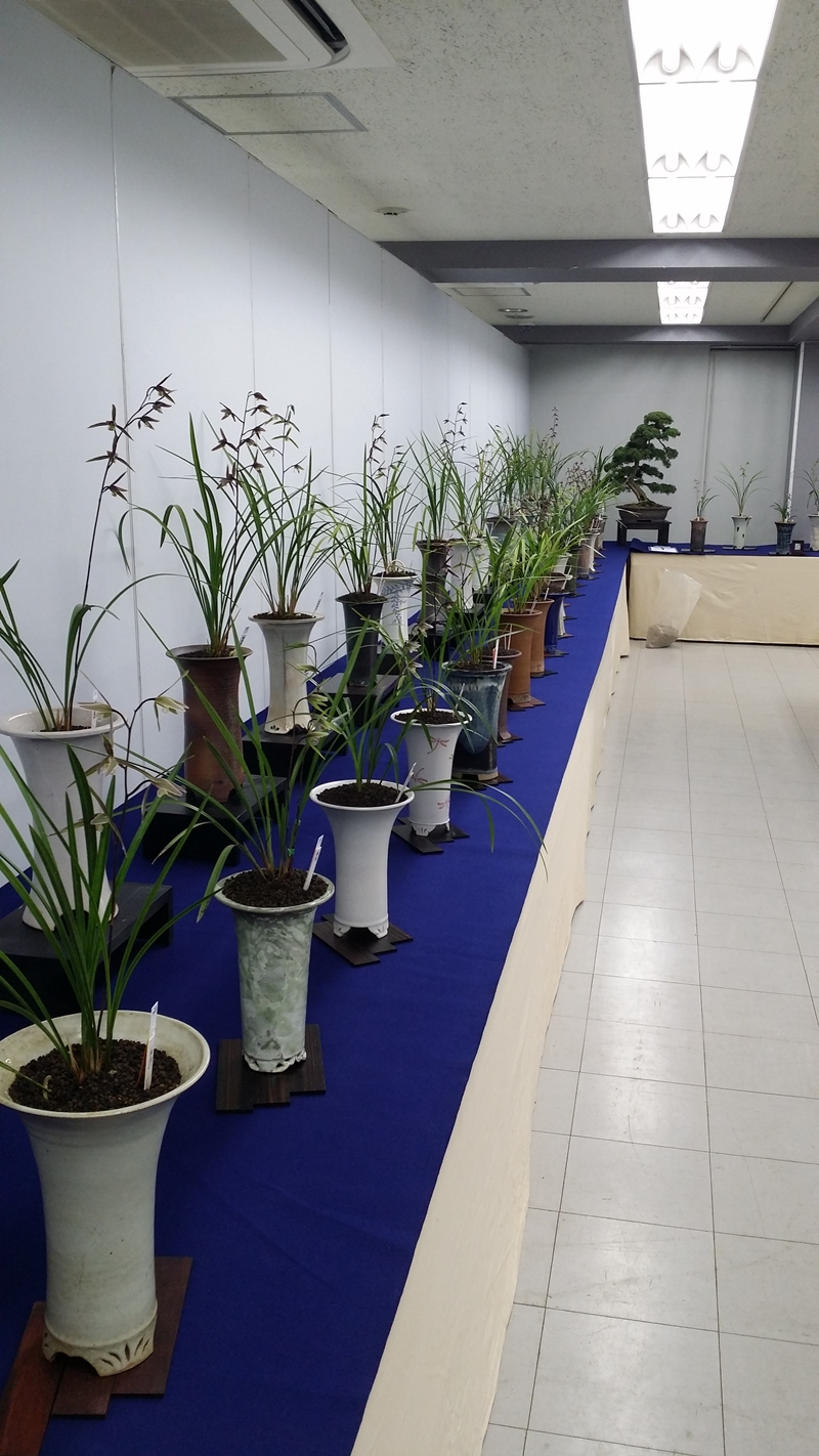 20151211_104045.jpg