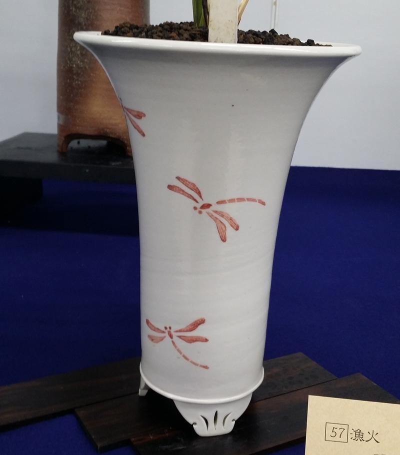 20151211_111528.jpg