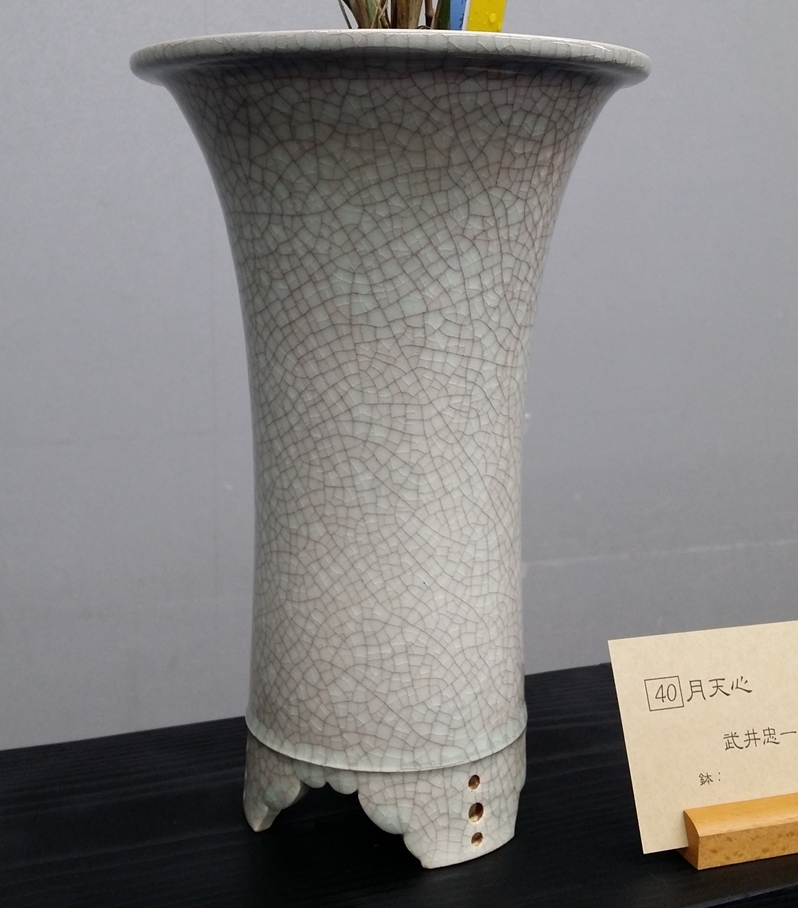 20151211_111653.jpg