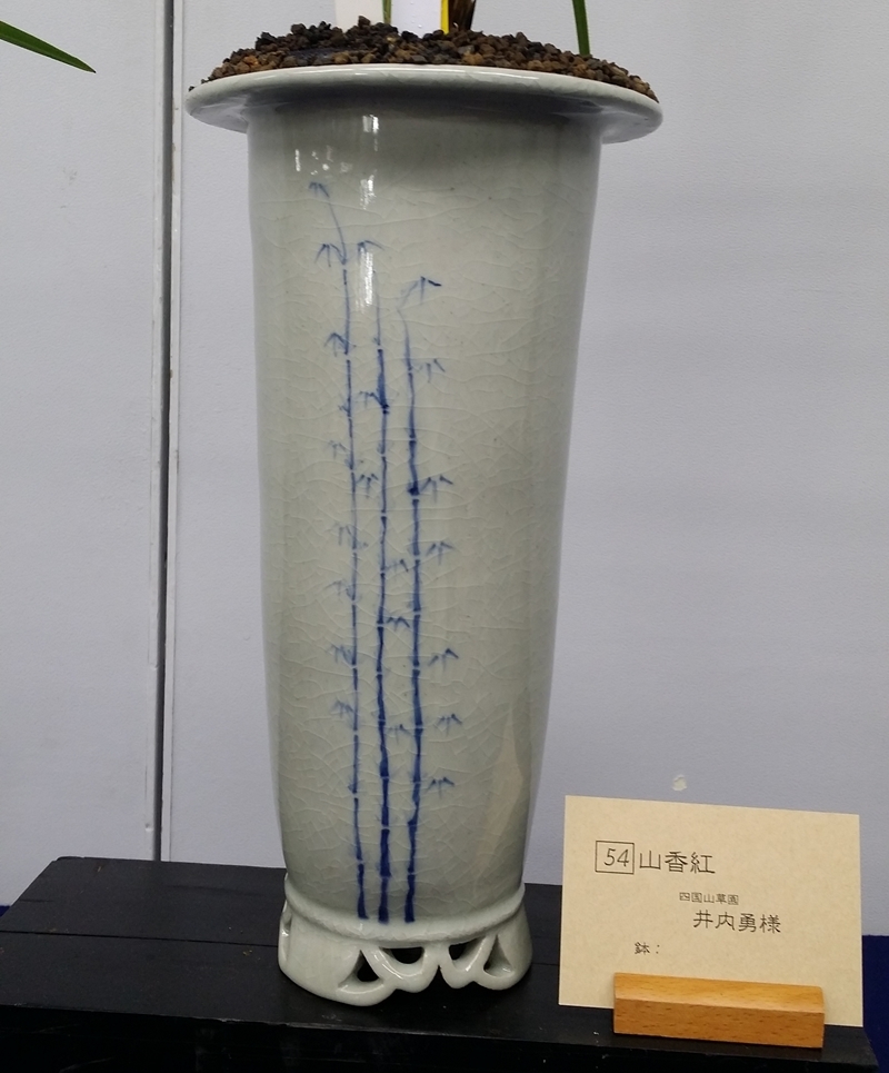 20151211_111619.jpg