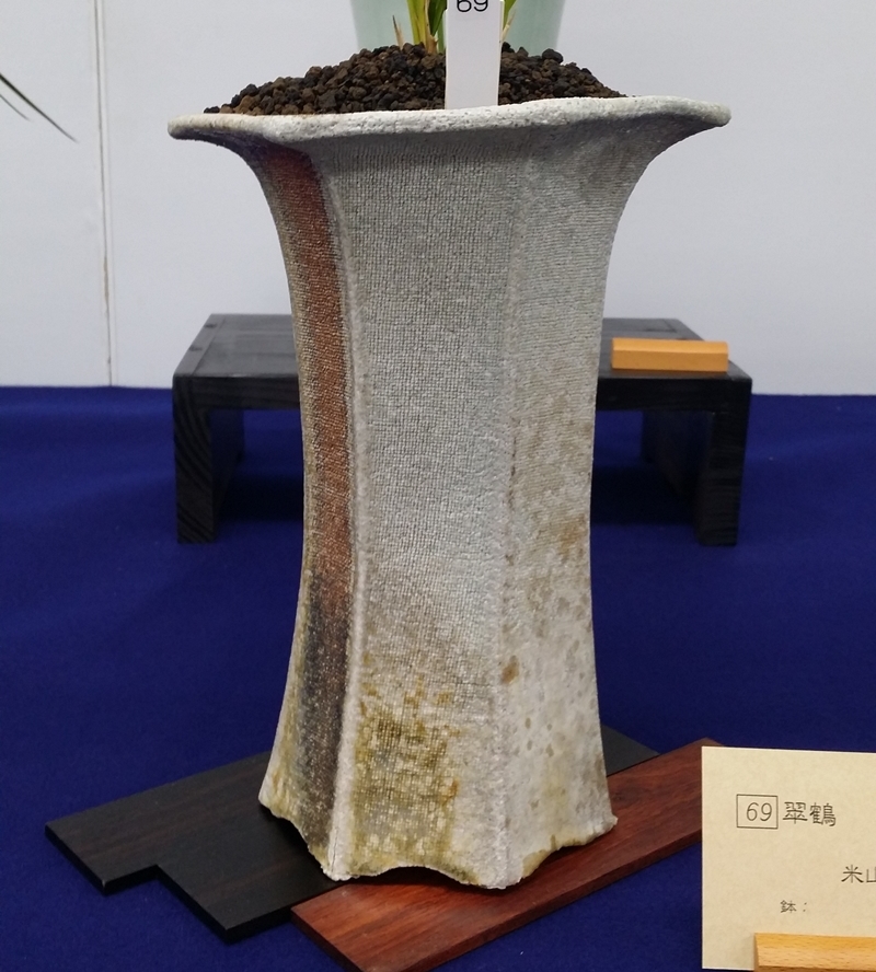 20151211_111547.jpg
