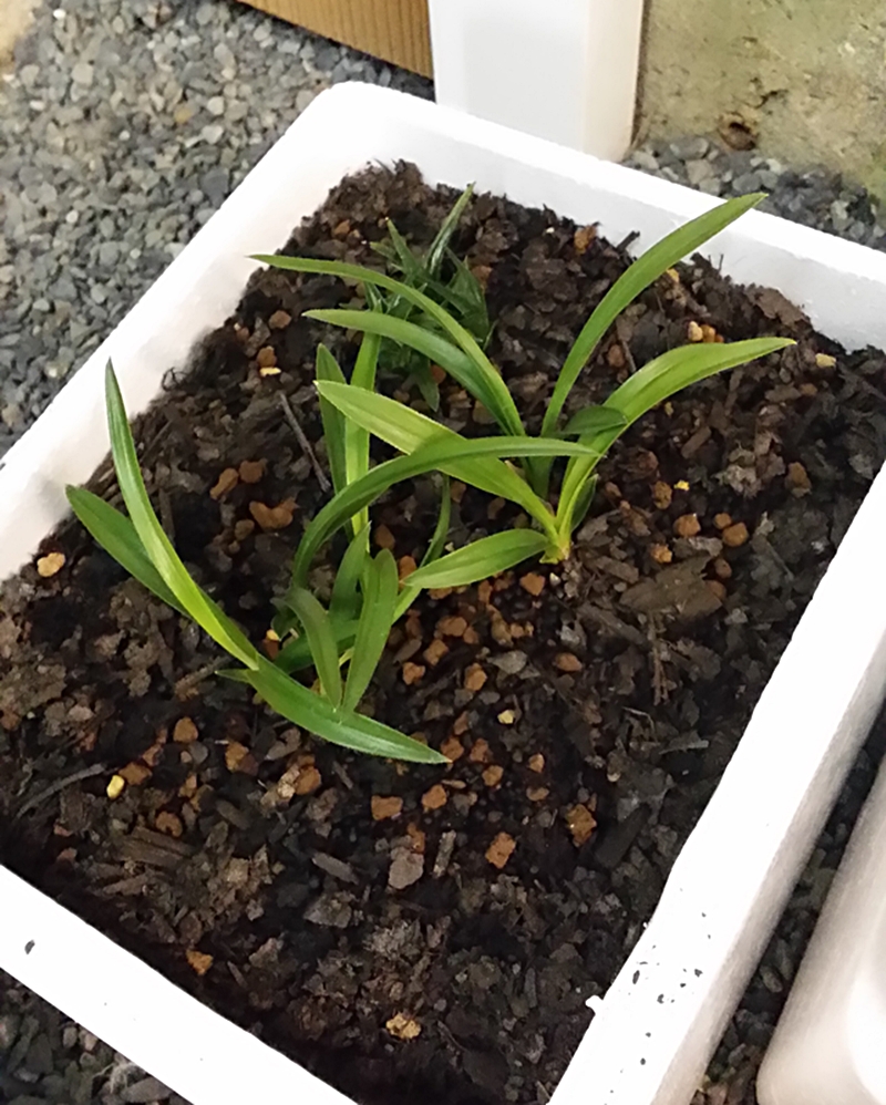 20150327_212616.jpg