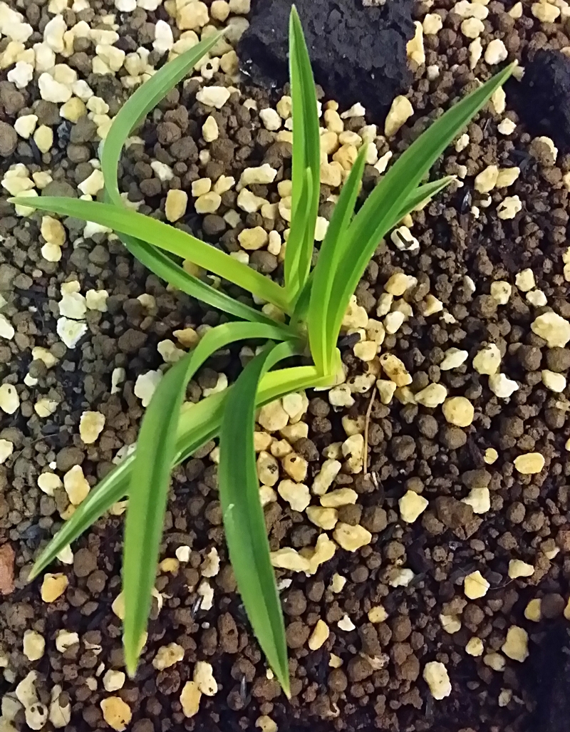 20150327_212655.jpg