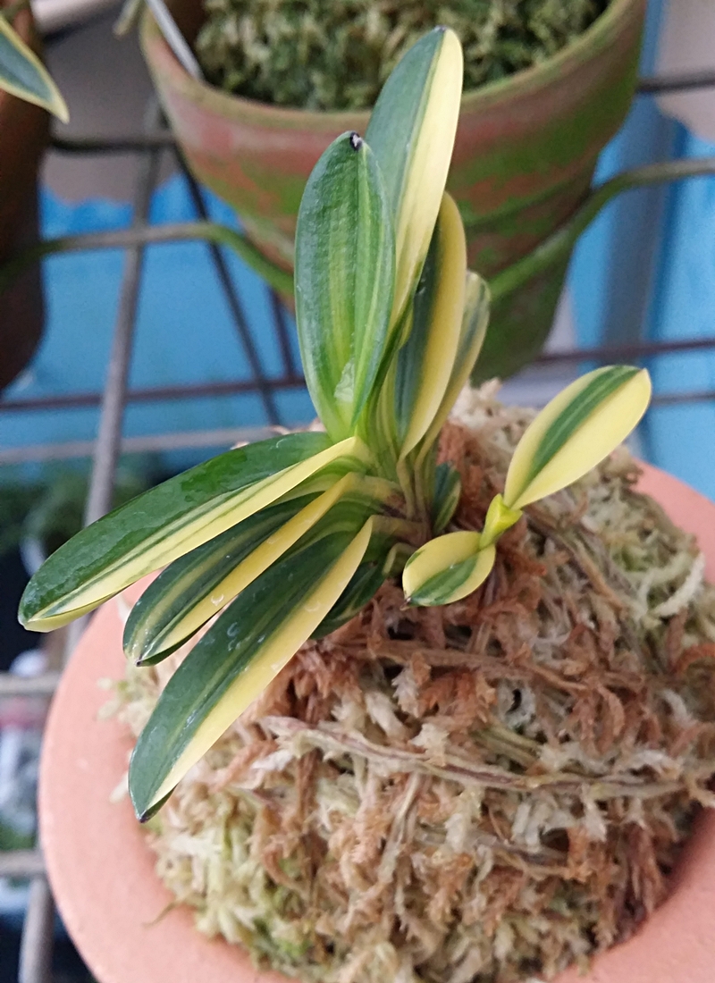 20151113_143658.jpg
