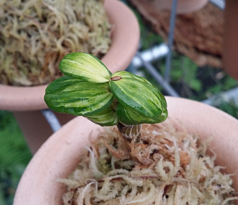 20151113_145455.jpg