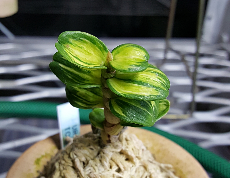 20161014_205514.jpg