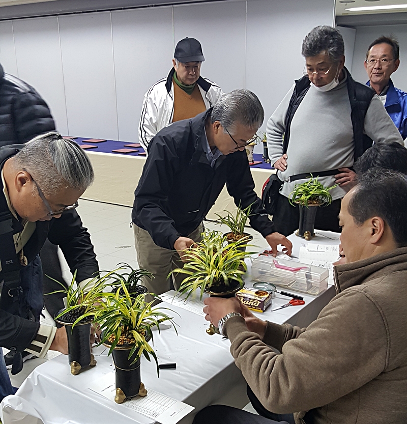 20161125_155518.jpg