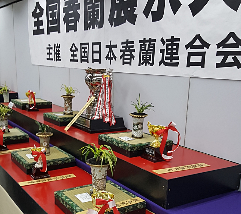 20161126_141140.jpg