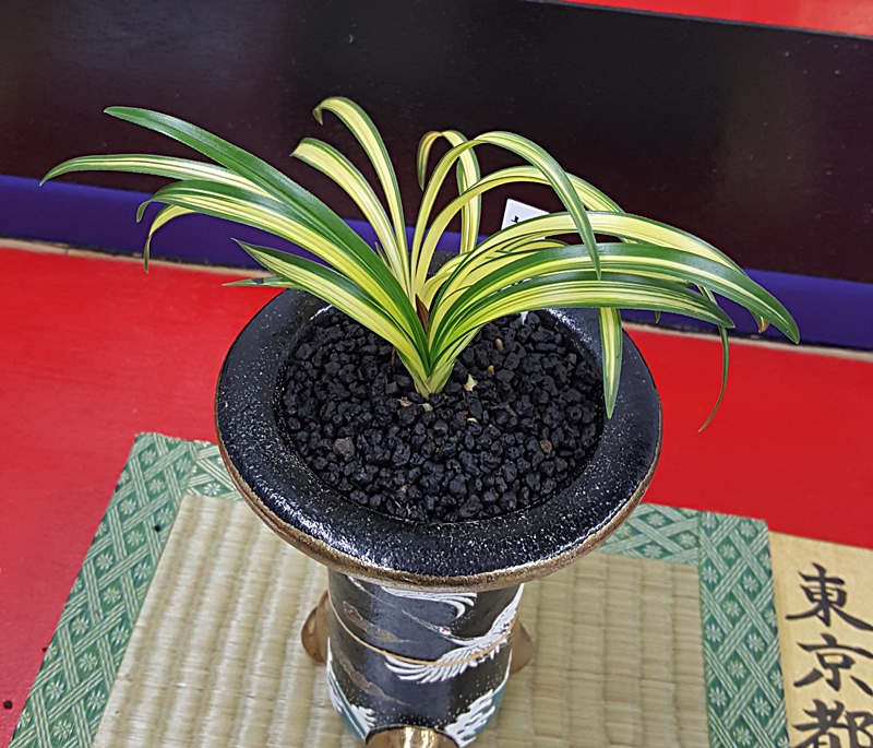20161126_122901.jpg