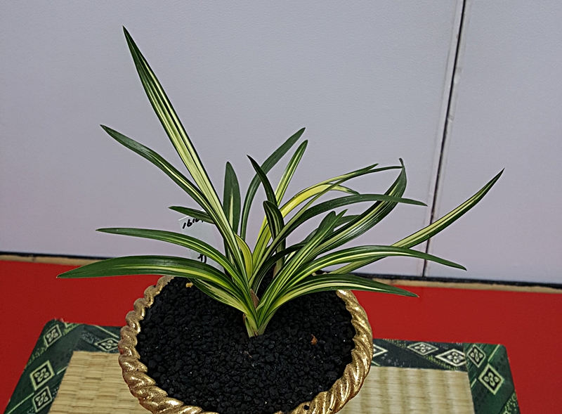 20161126_141308.jpg