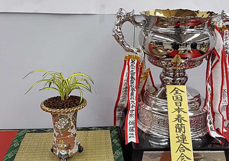 20161126_141330.jpg