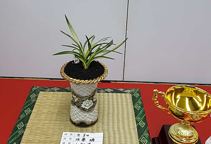 20161126_141312.jpg