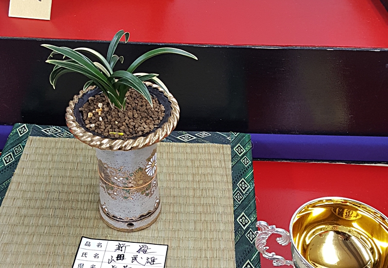 20161126_141322.jpg