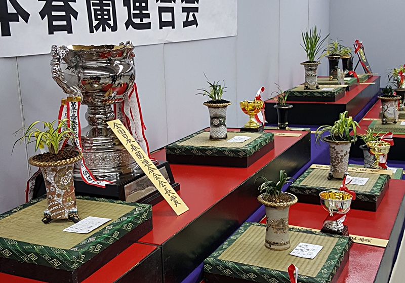 20161126_141413.jpg
