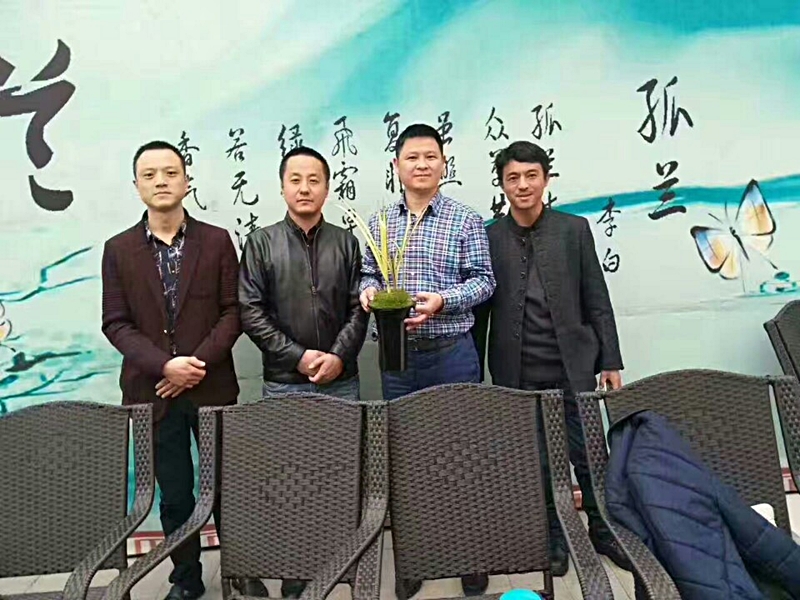 1491031250986.jpg