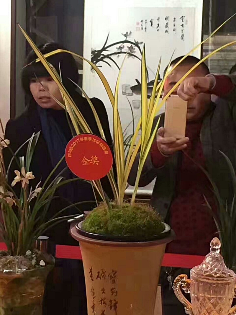 1491031255016.jpg